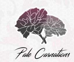 康乃馨俱乐部游戏图标